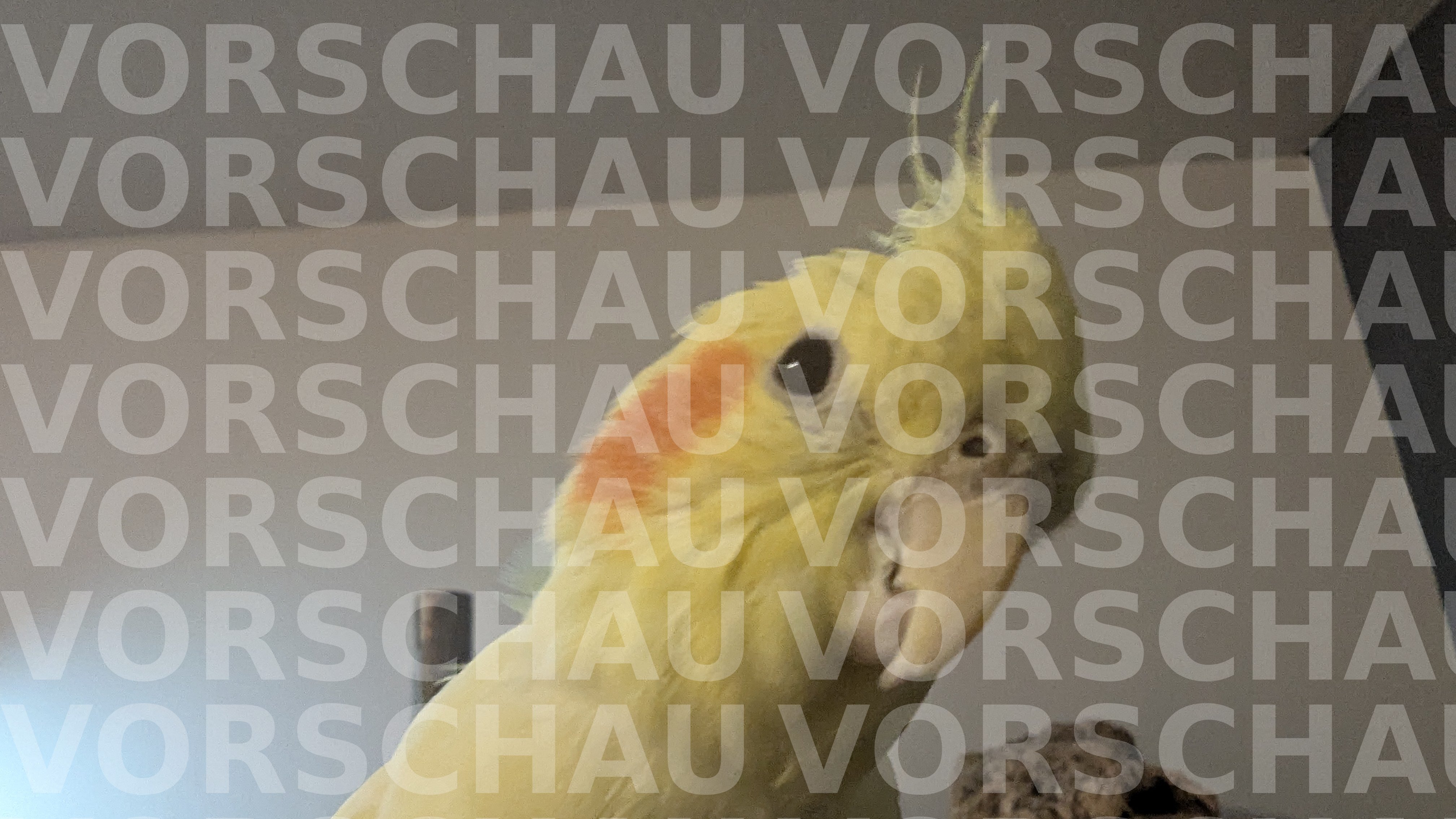 Vorschau 1